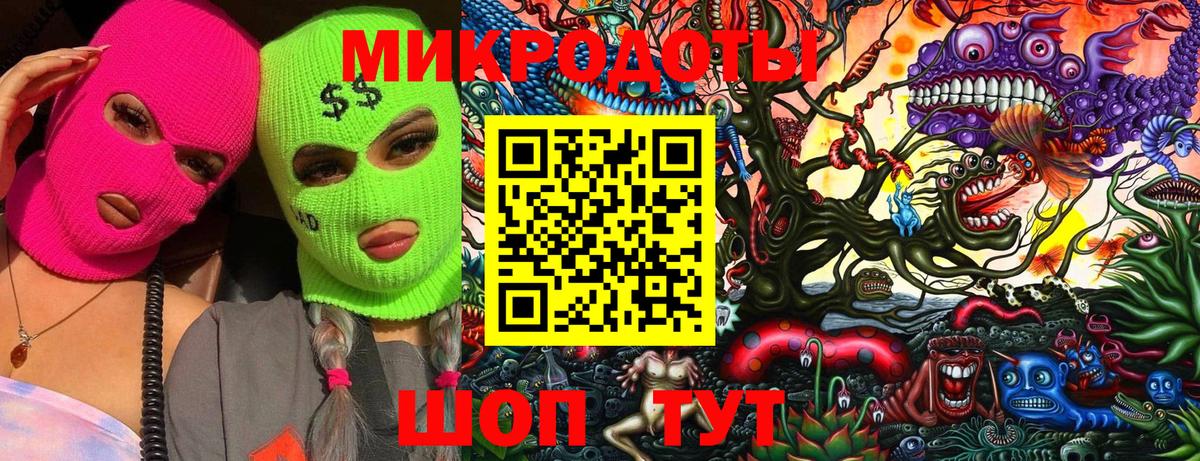 Галлюциногенные грибы прущие грибы Всеволожск